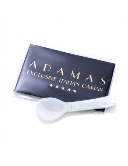 THE MOTHER OF PEARL SPOON