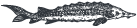 adamas-caviale-icona-storione.png